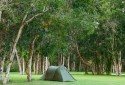 Unpowered Tent Site